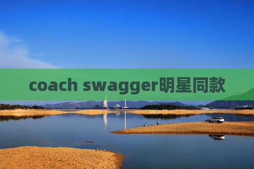 coach swagger明星同款